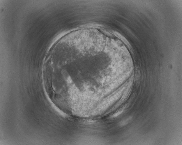 X0000081471055200702092335