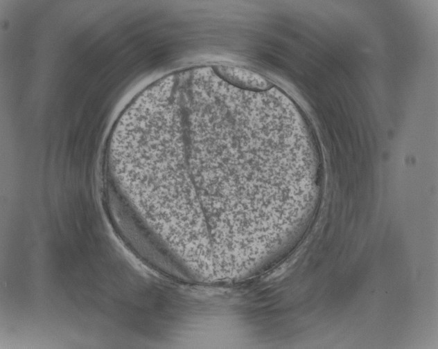 X0000081471056200702092335