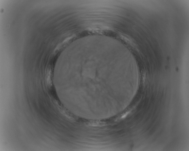 X0000081471060200702092334