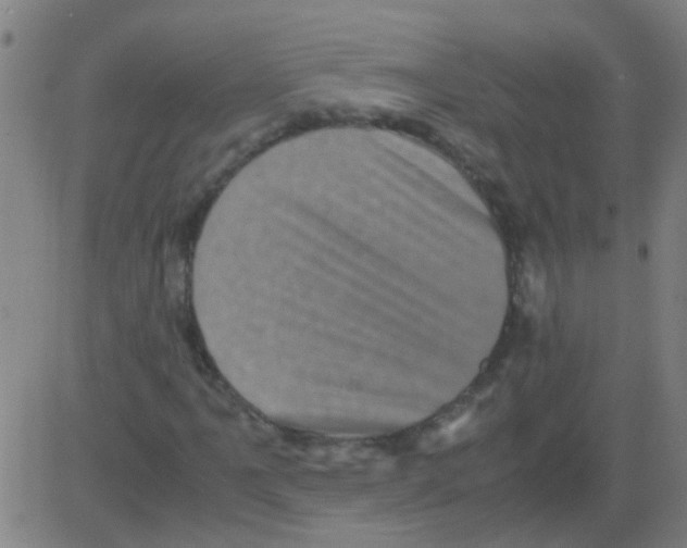 X0000081471061200702092334