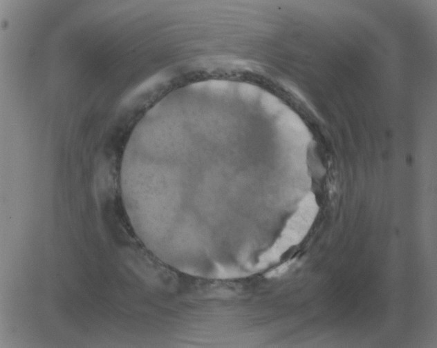 X0000081471063200702092334