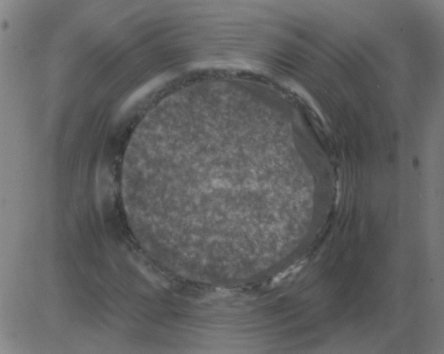 X0000081471064200702092334