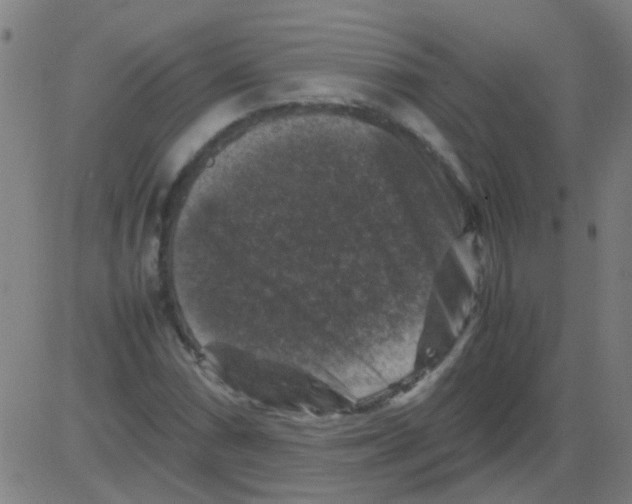 X0000081471066200702092334