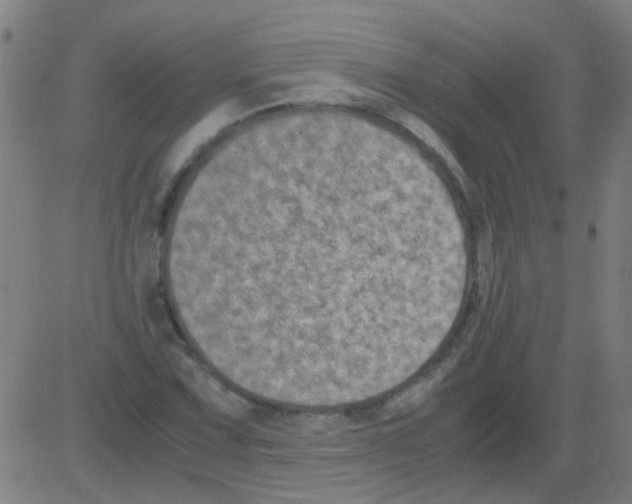 X0000081471067200702092334