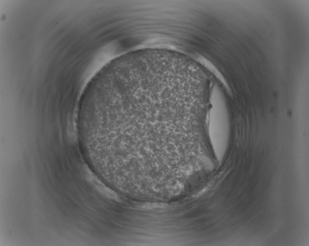 X0000081471068200702092334