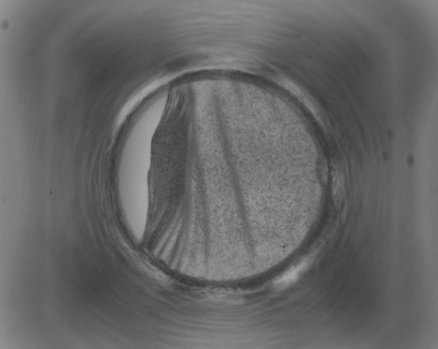 X0000081471069200702092334