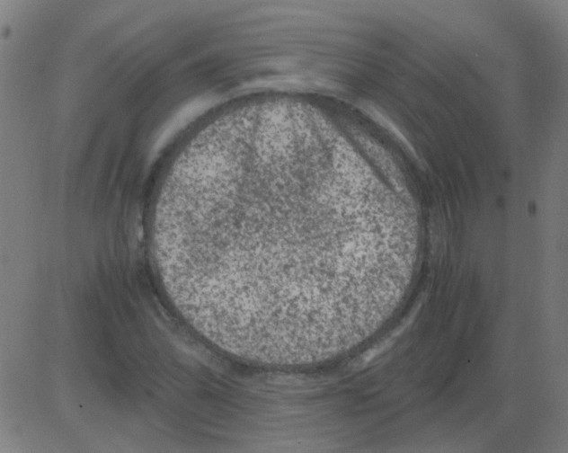 X0000081471070200702092334