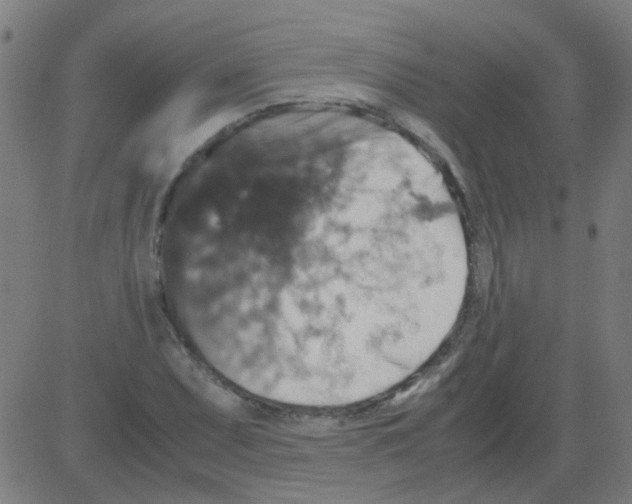 X0000081471071200702092334