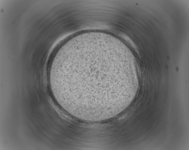 X0000081471072200702092334