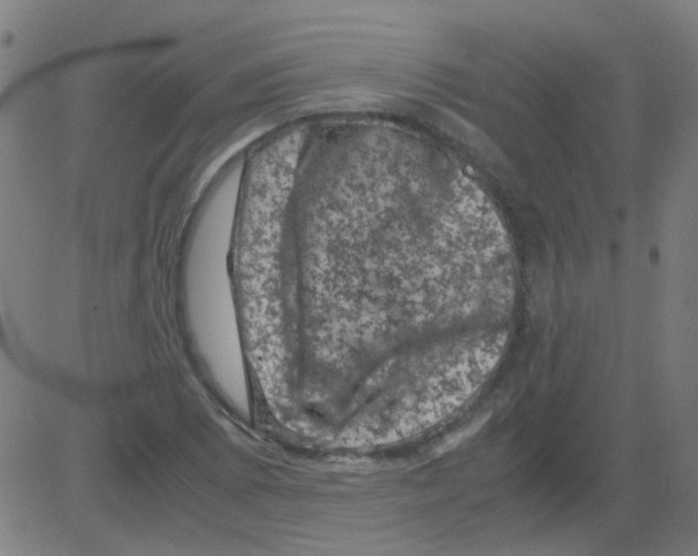 X0000081471073200702092334