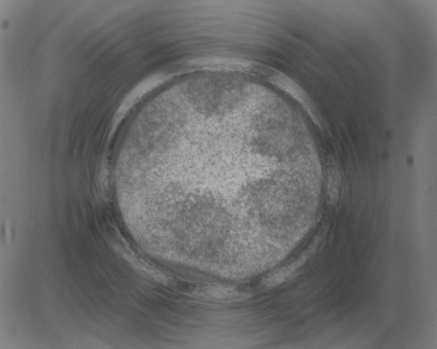 X0000081471074200702092334