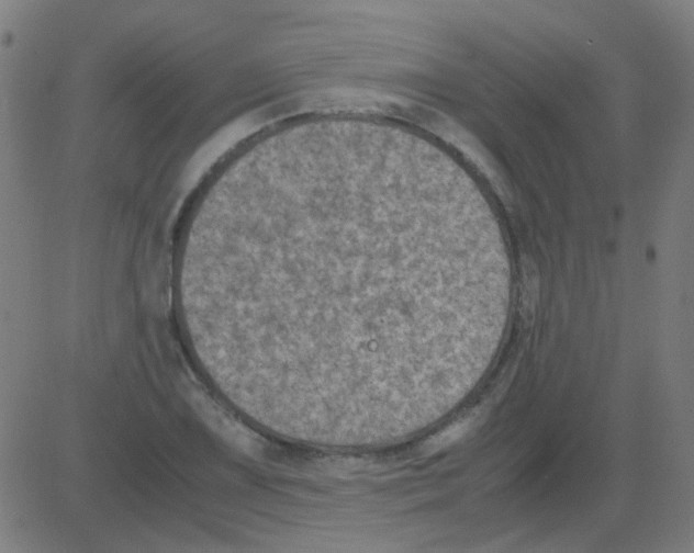 X0000081471075200702092334