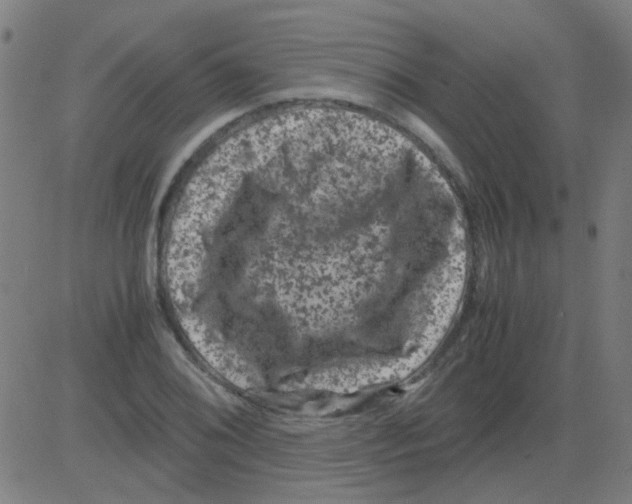 X0000081471076200702092334