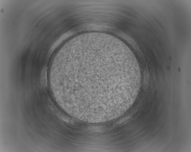 X0000081471078200702092334