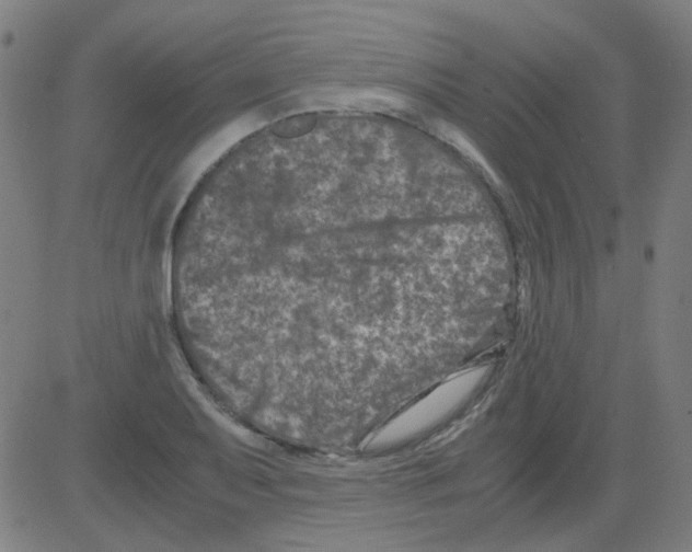 X0000081471079200702092334