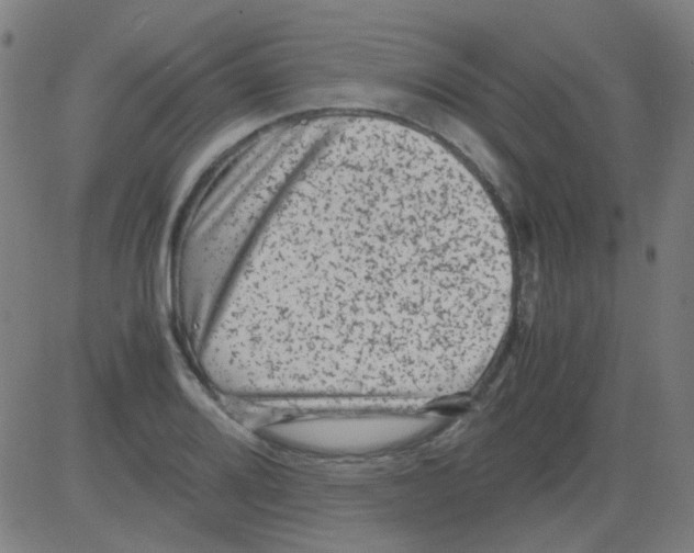 X0000081471080200702092334