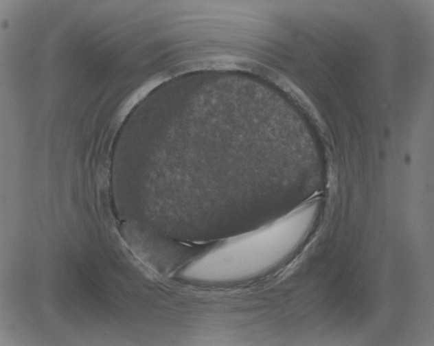 X0000081471081200702092334