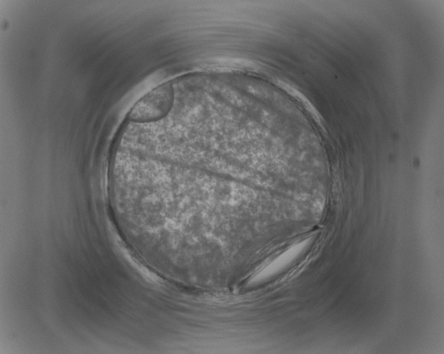 X0000081471083200702092334