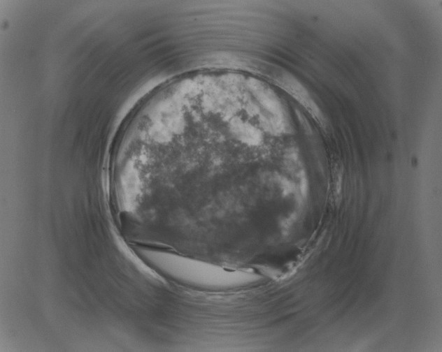 X0000081471084200702092334