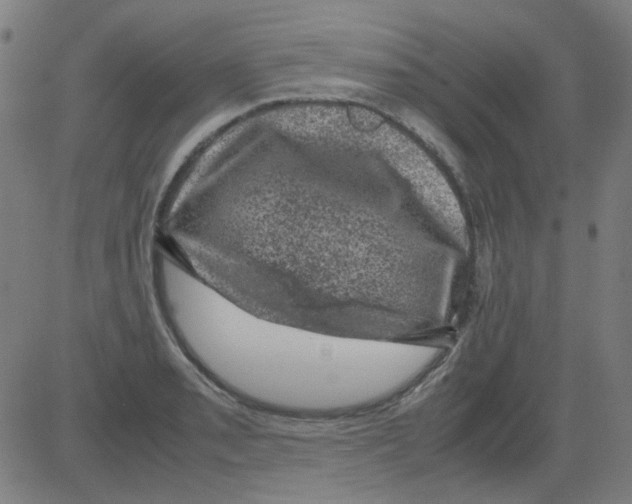 X0000081471085200702092334