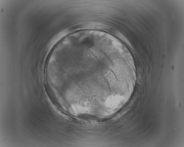 X0000081471087200702092334