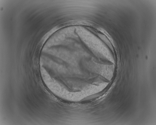 X0000081471089200702092334