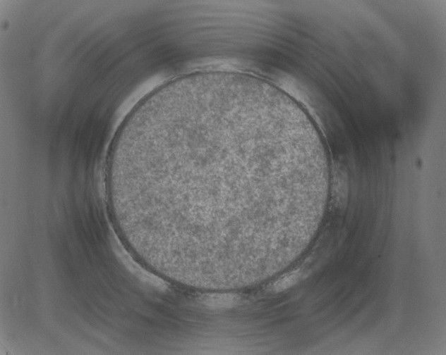 X0000081471090200702092334