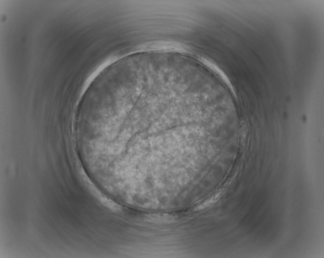 X0000081471091200702092334