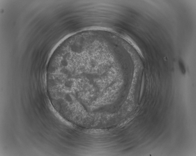 X0000081471092200702092334