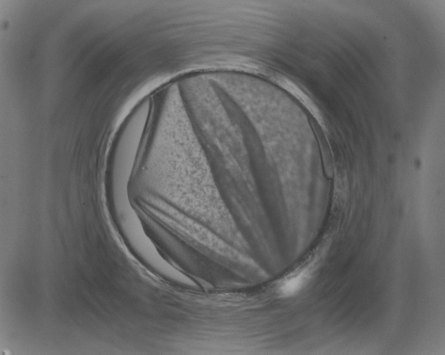 X0000081471093200702092334