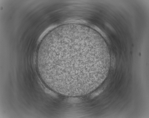 X0000081471094200702092334