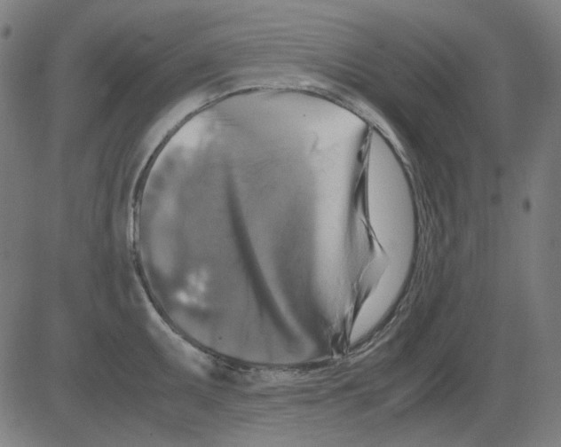 X0000081471095200702092334