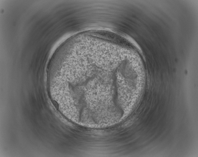 X0000081471096200702092334