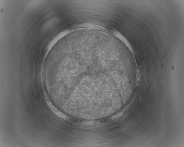 X0000081471098200702092334