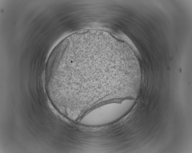 X0000081471100200702092333