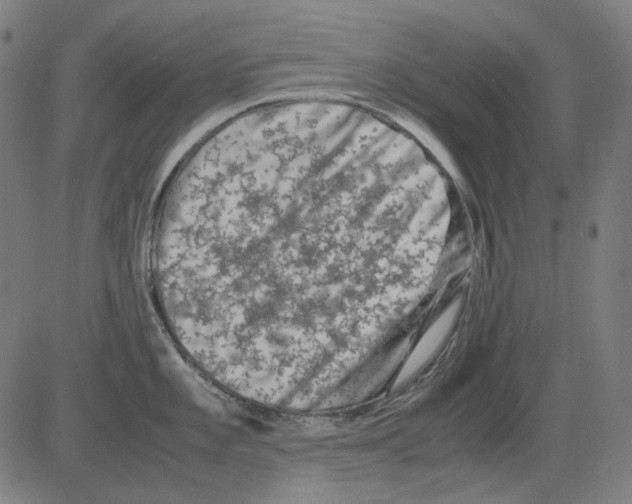 X0000081471101200702092333