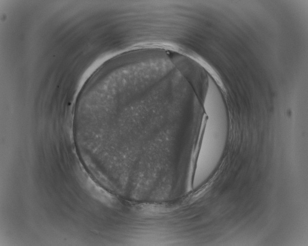 X0000081471102200702092333