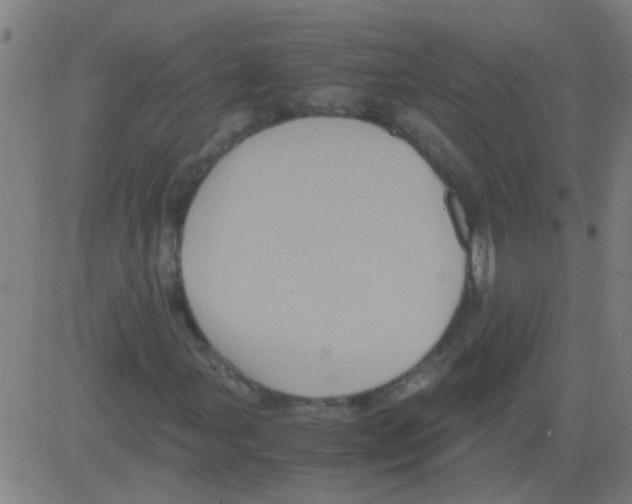 X0000081471107200702092333