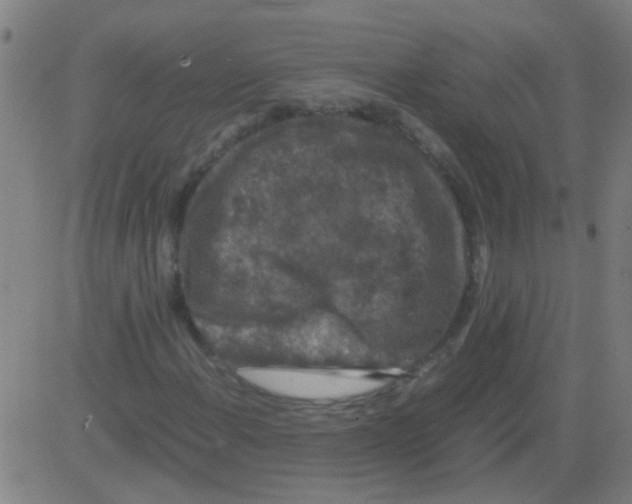 X0000081471108200702092333