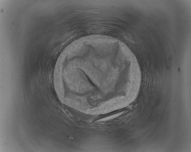 X0000081471109200702092333