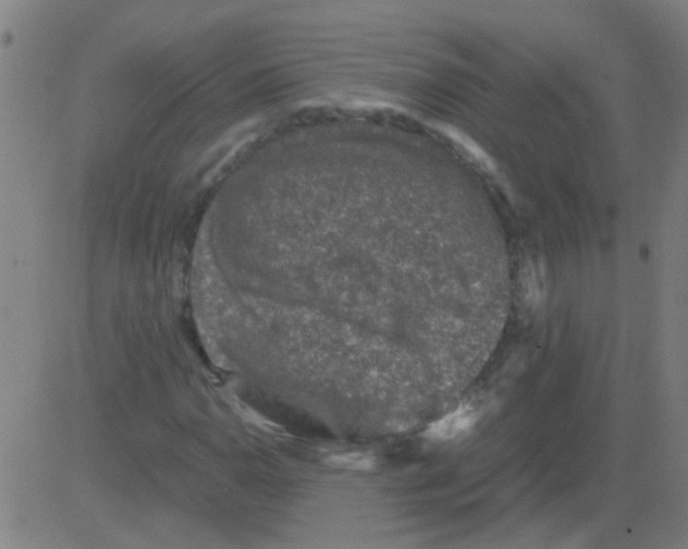 X0000081471110200702092333