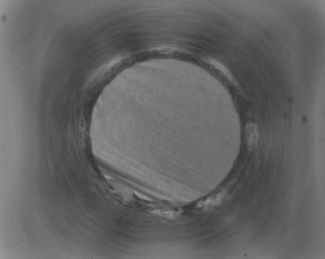 X0000081471111200702092333