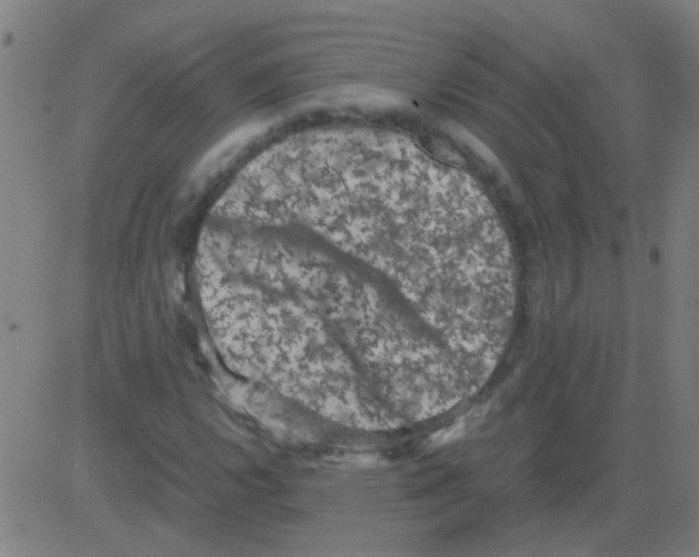 X0000081471112200702092333