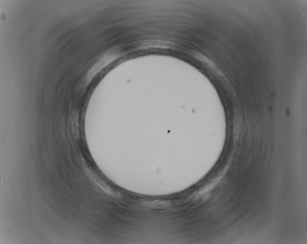 X0000081471113200702092333