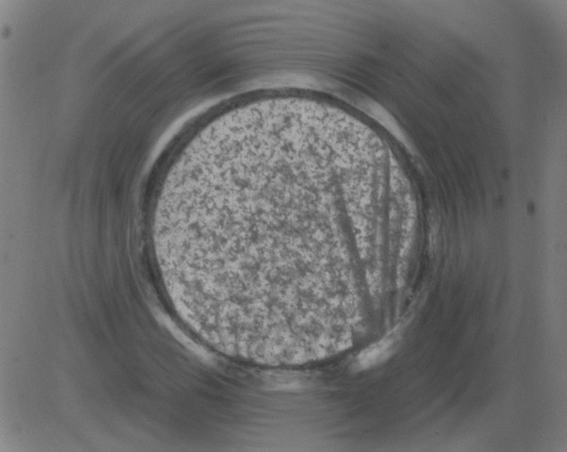 X0000081471116200702092333