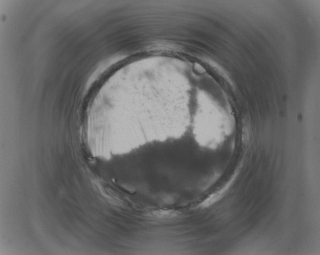 X0000081471117200702092333