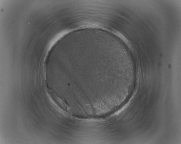 X0000081471118200702092333