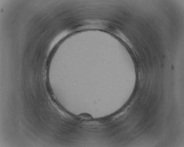 X0000081471119200702092333