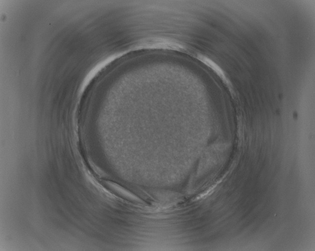 X0000081471120200702092333