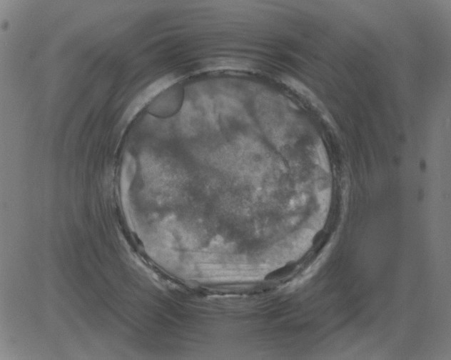 X0000081471121200702092333